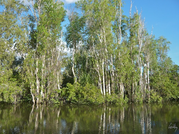 AustraliaAdelaide 10  036